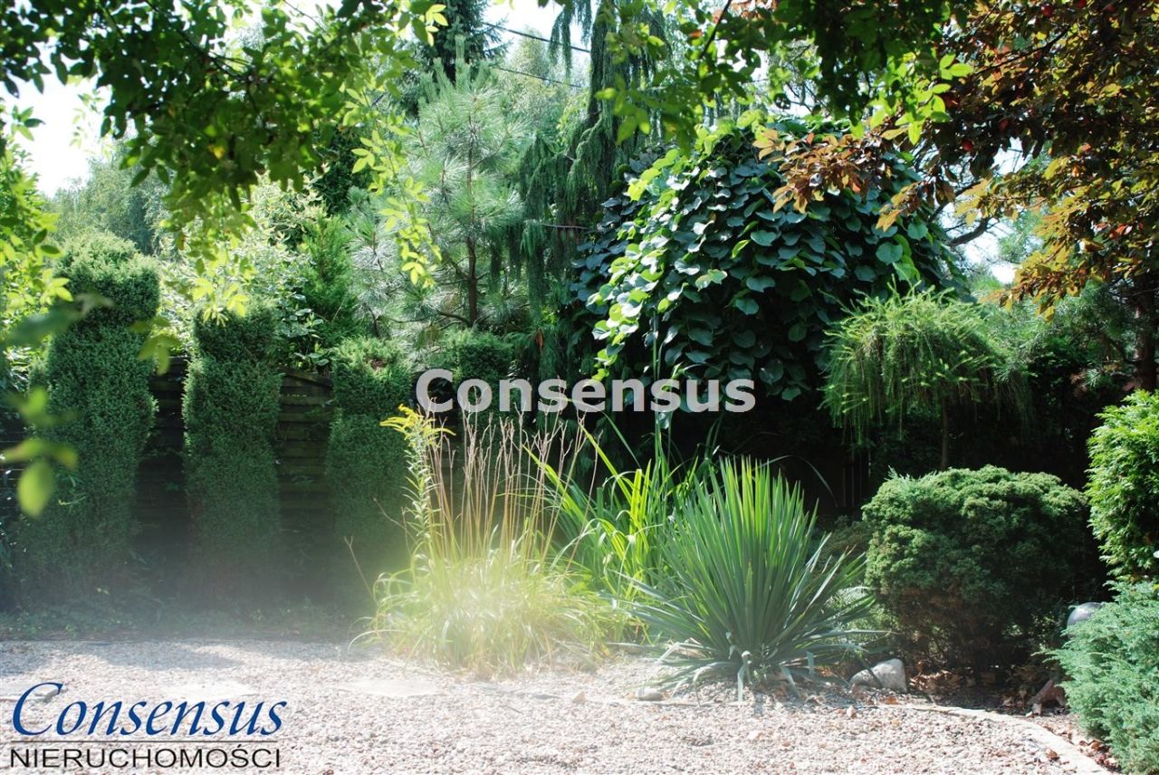 dom szeregowy, 5 pokoi Katowice Piotrowice, ul. Głogowa. Zdjęcie 17