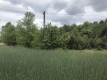 Działka rolna Cisza. Zdjęcie 4