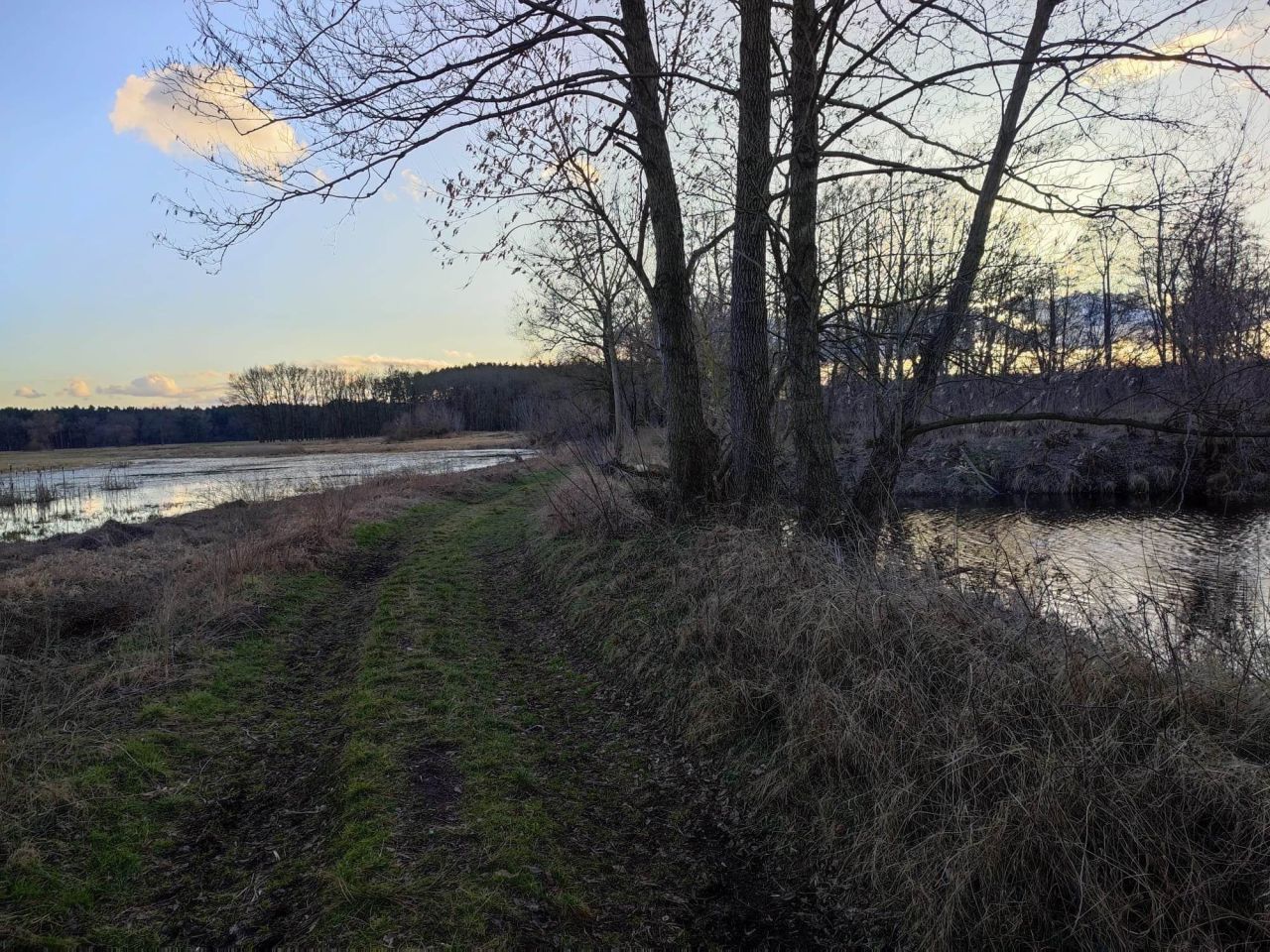 Działka budowlana Radzewice, ul. Konwaliowa. Zdjęcie 3