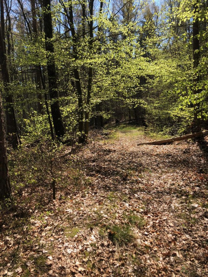 Działka budowlana Chośnica. Zdjęcie 6