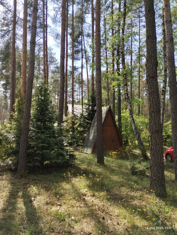 Działka budowlana Zofiówka, ul. Cienista. Zdjęcie 10