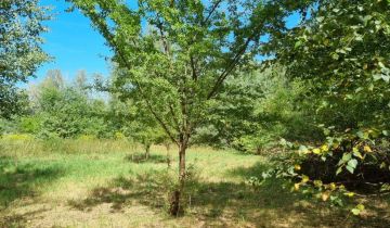 Działka budowlana Rusiec