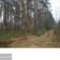 Działka leśna Bartniki, ul. Spokojna. Zdjęcie 3