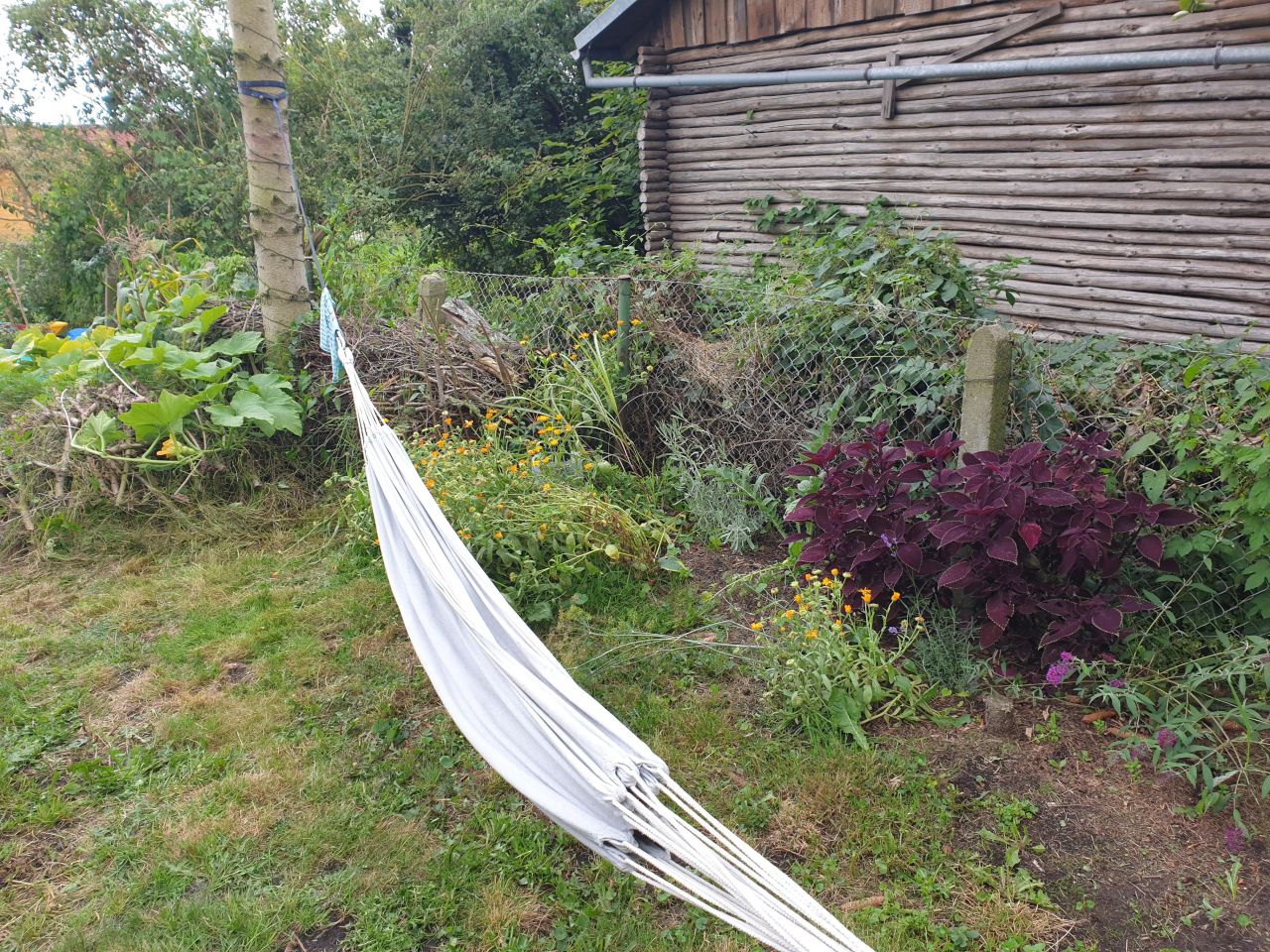 Działka rod Szczecin Śródmieście, ul. Marynarska. Zdjęcie 11