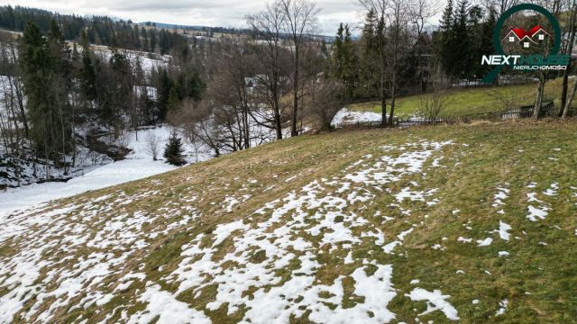 Działka inwestycyjna Dzianisz. Zdjęcie 8