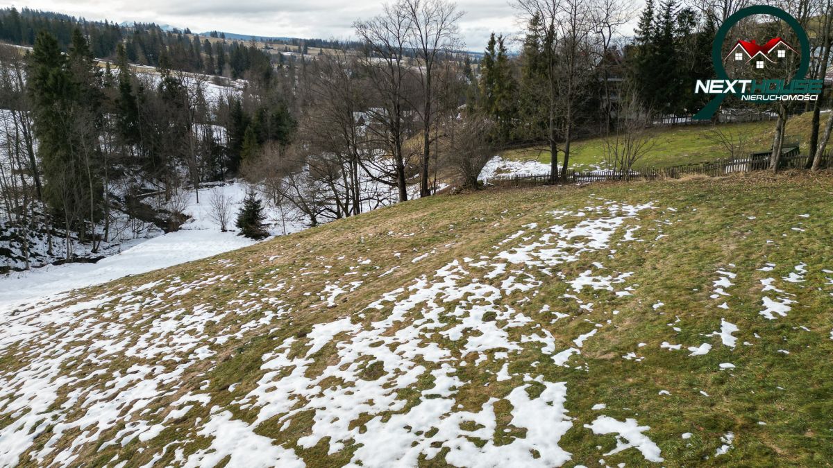 Działka inwestycyjna Dzianisz. Zdjęcie 8