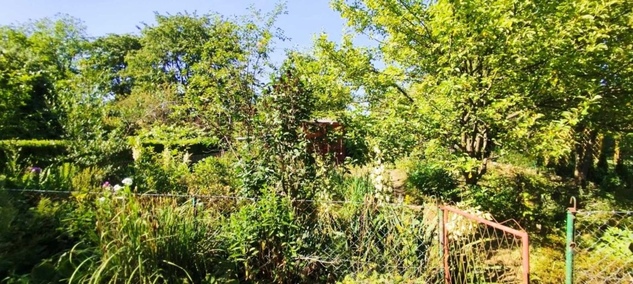 Działka rod Kraków Podgórze, ul. Golikówka. Zdjęcie 4