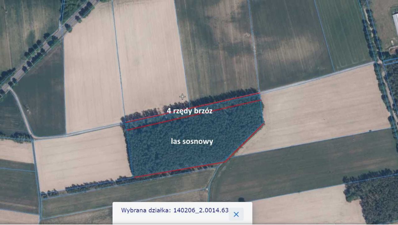 Działka leśna Skarżynek. Zdjęcie 4