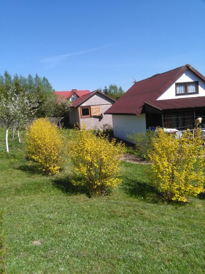 Działka budowlana Skrzydłowo. Zdjęcie 4