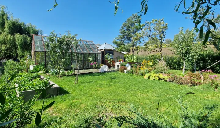 Działka rod Białystok Dziesięciny, ul. Wilcza