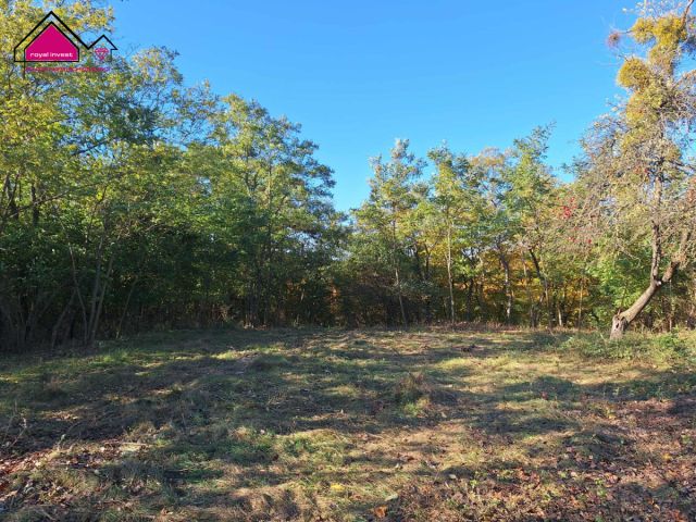 Działka budowlana Żółwieniec. Zdjęcie 5