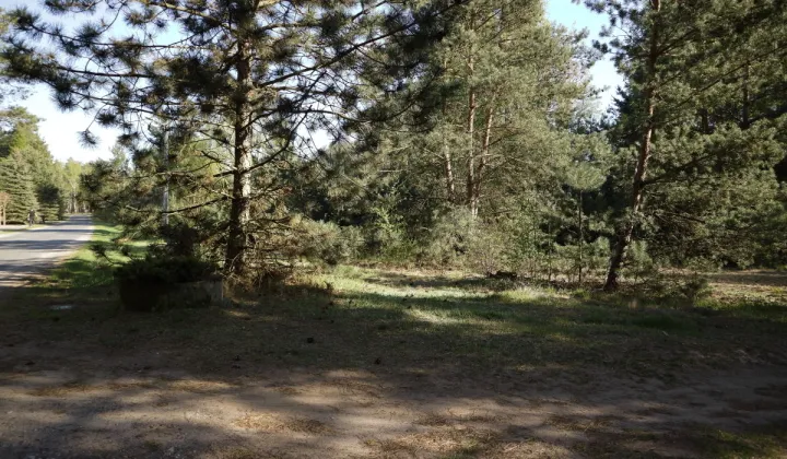 Działka budowlana Nekielka, ul. Kwiatowa