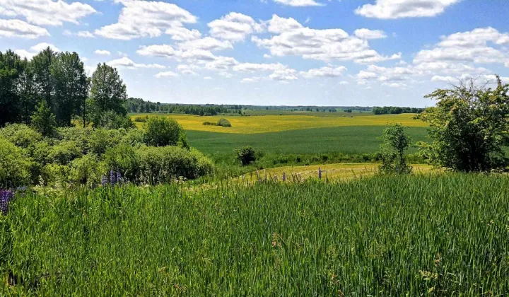 Działka rolna Leleszki