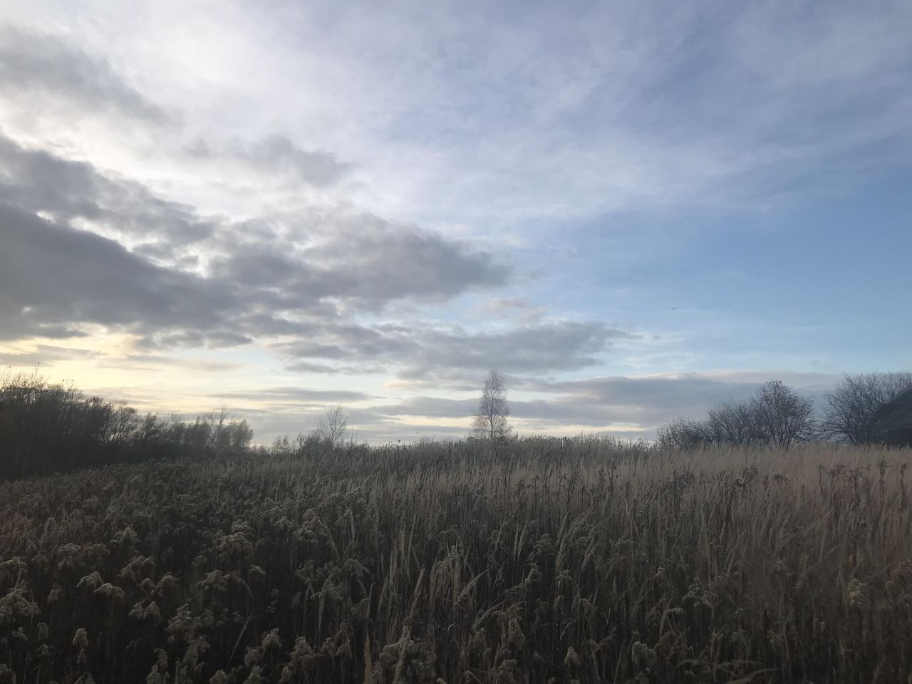 Działka budowlana Stary Pożóg. Zdjęcie 8