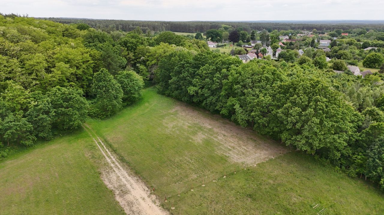 Działka rolno-budowlana Grabowiec. Zdjęcie 5