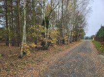 Działka budowlana Helenów, ul. Gruntowa. Zdjęcie 3