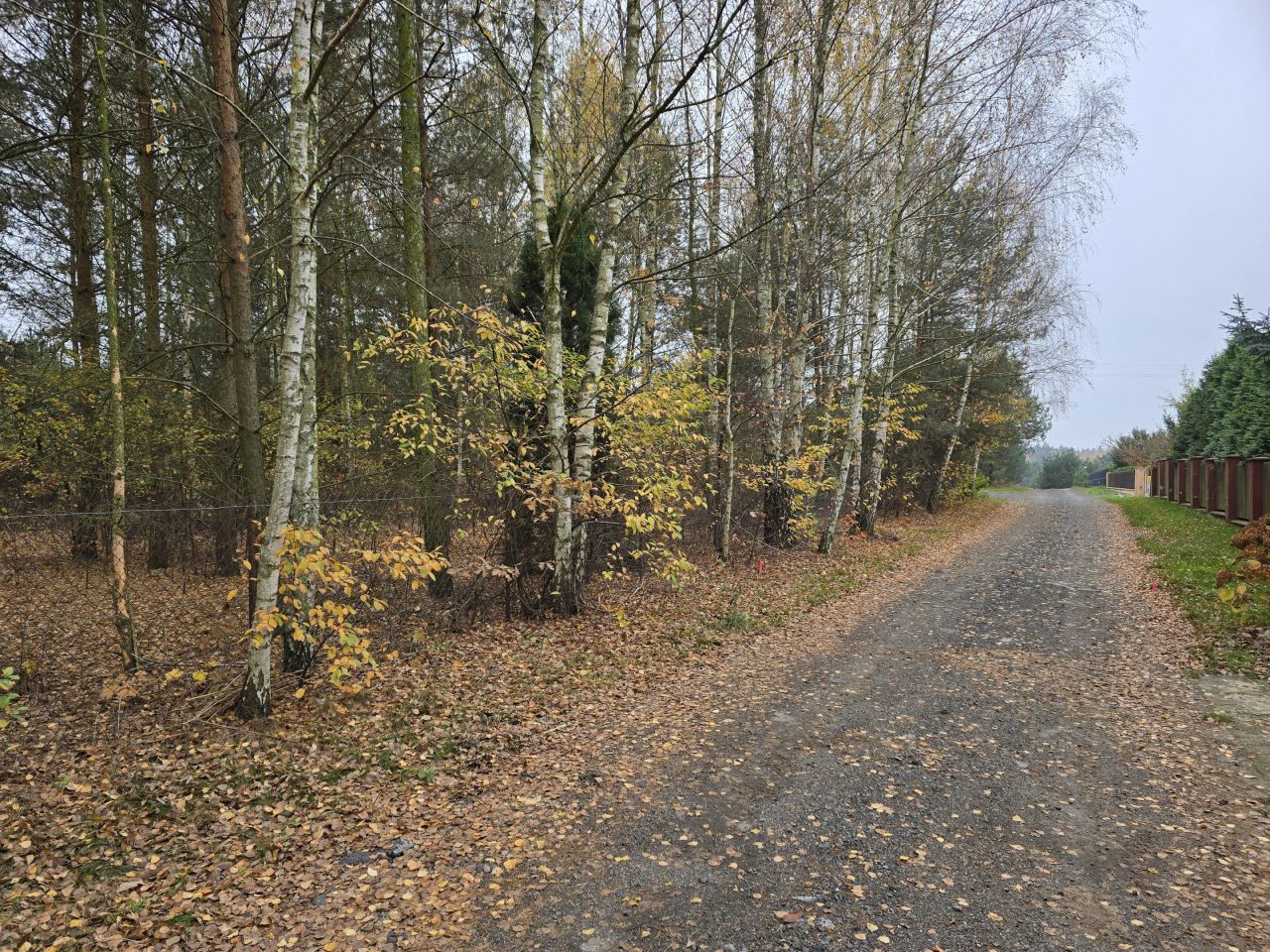 Działka budowlana Helenów, ul. Gruntowa. Zdjęcie 4