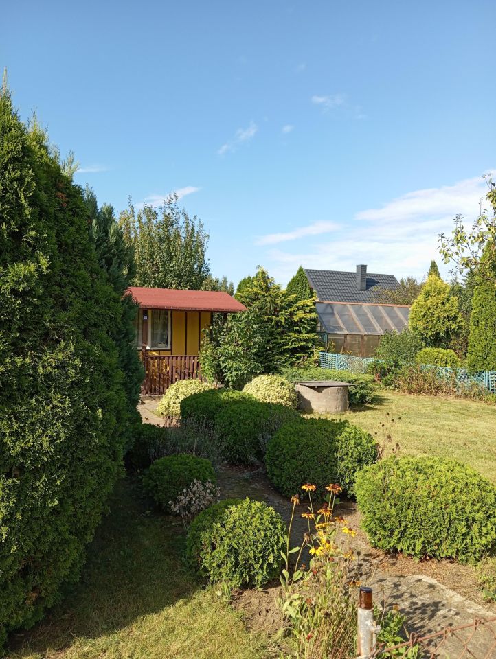 Działka rod Płock Radziwie. Zdjęcie 3