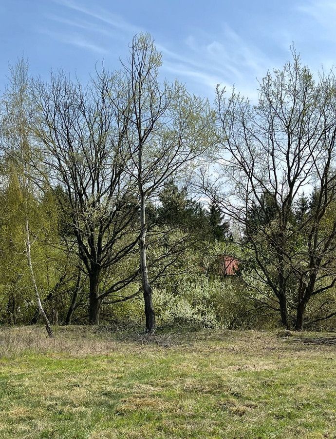 Działka budowlana Chalin. Zdjęcie 4