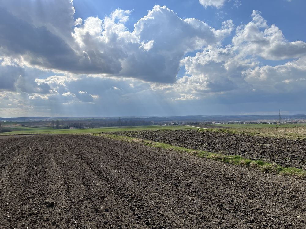 Działka budowlana Gacki. Zdjęcie 4