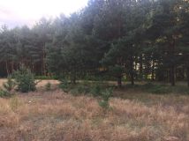 Działka budowlana Gwizdów Gwizdów. Zdjęcie 3