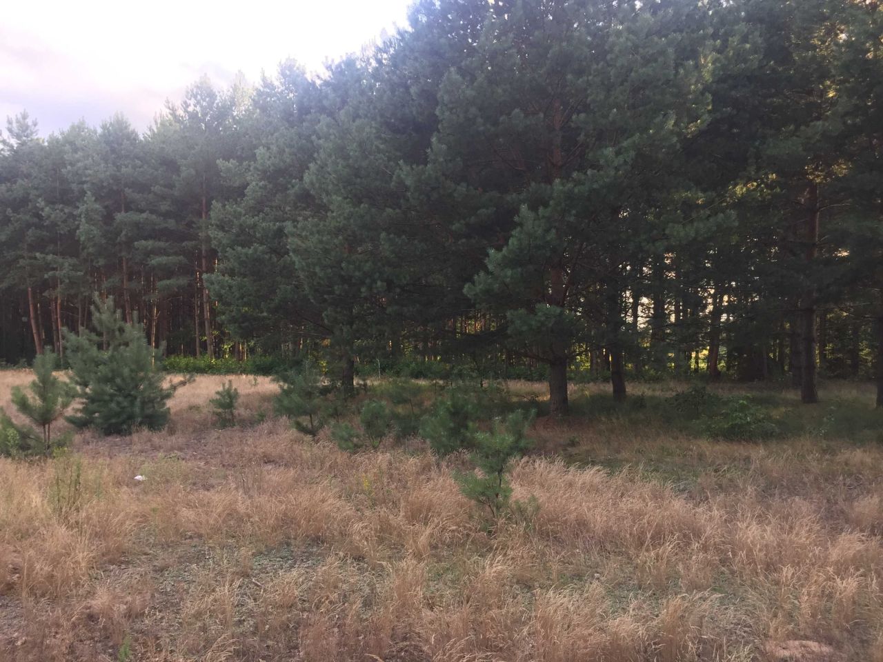 Działka budowlana Gwizdów Gwizdów. Zdjęcie 4