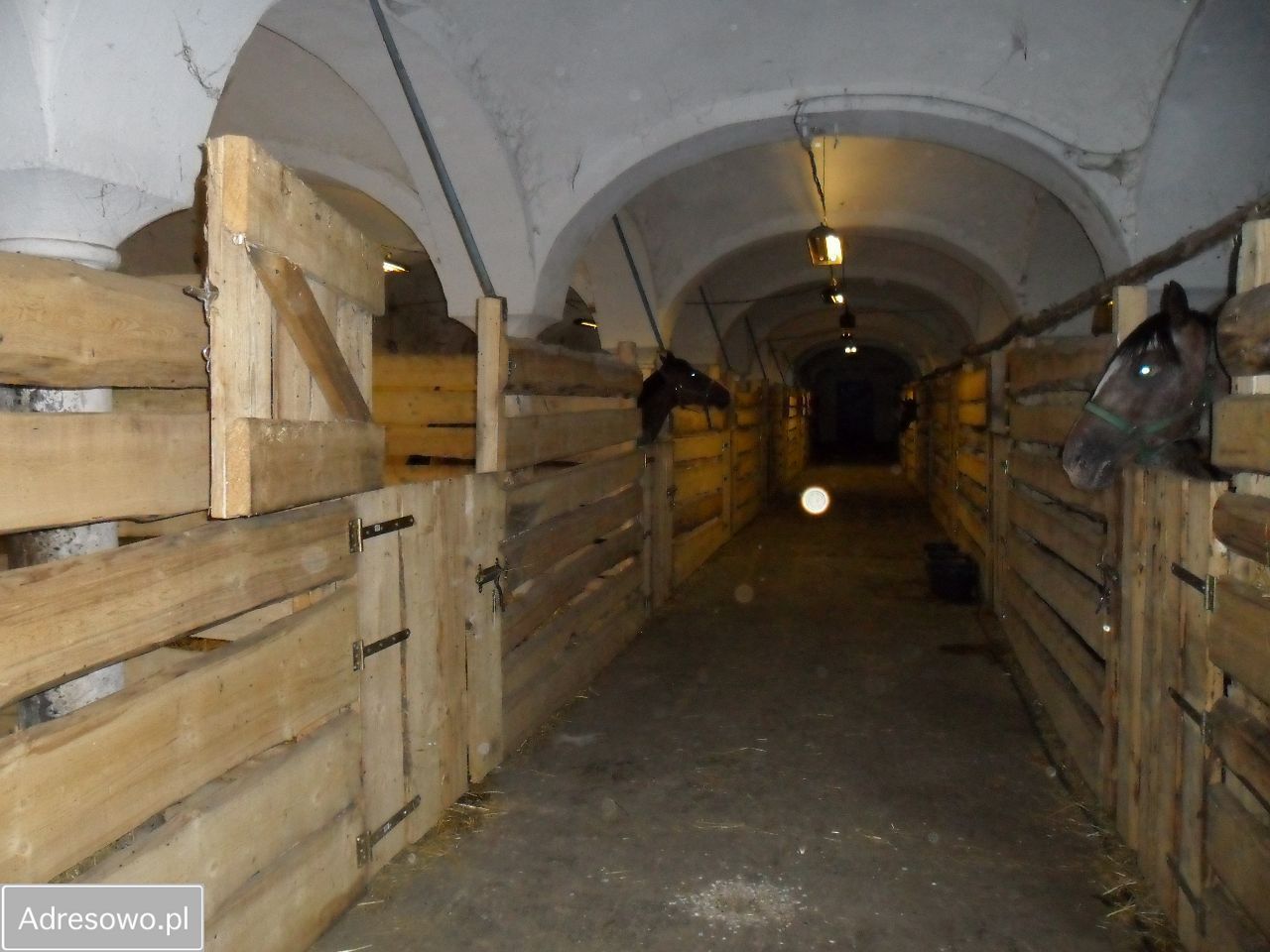 Hala/magazyn Młynica. Zdjęcie 5