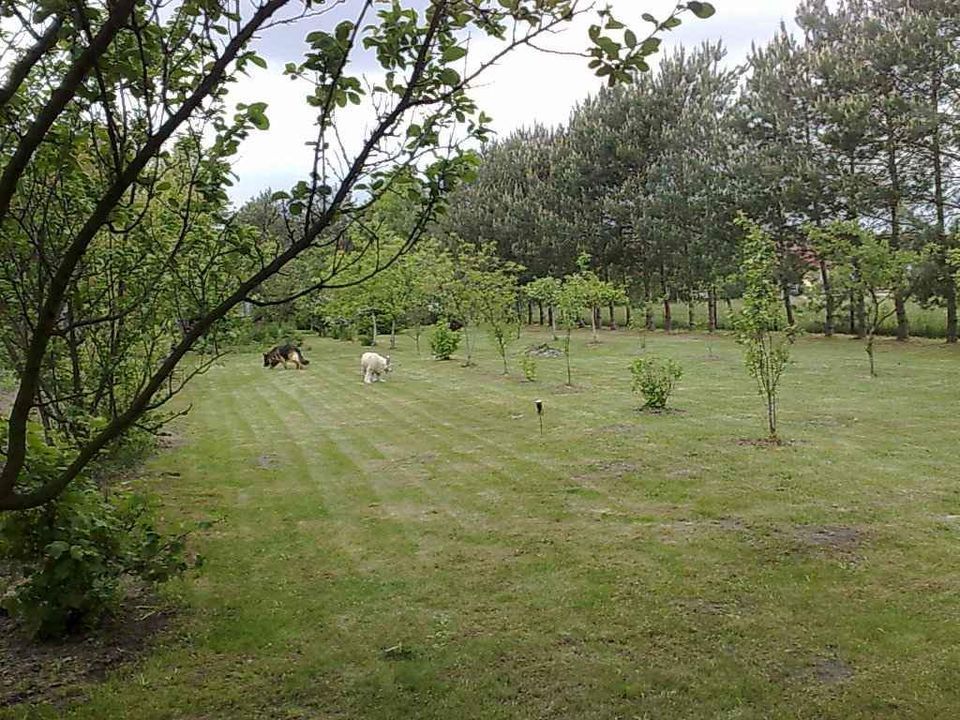 Działka rolno-budowlana Anielin Swędowski, ul. Swędowska. Zdjęcie 7