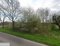 Działka budowlana Celejów. Zdjęcie 1