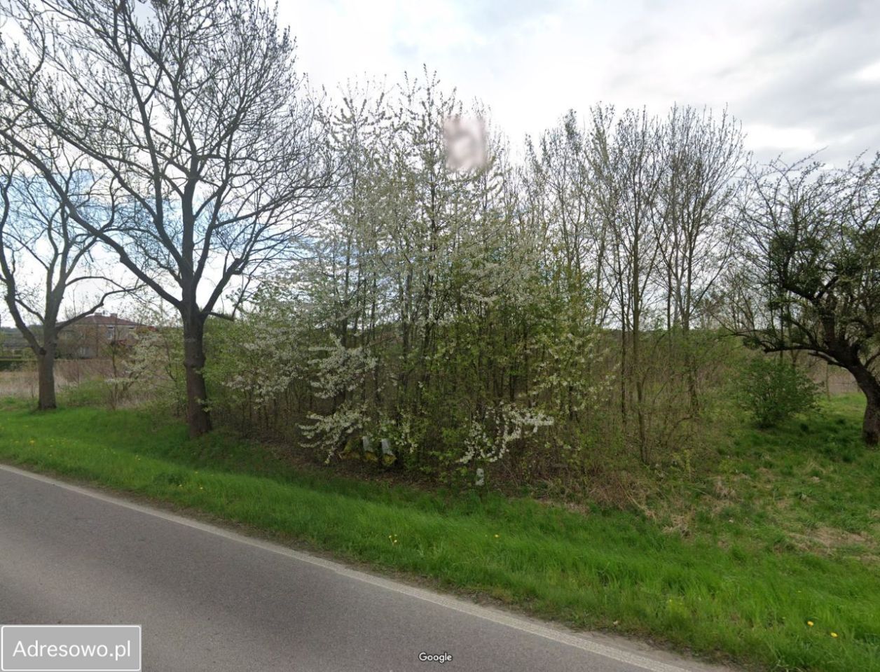 Działka budowlana Celejów. Zdjęcie 2