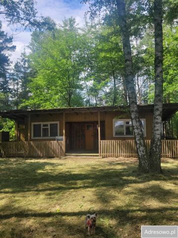 Działka rekreacyjna Czempisz. Zdjęcie 1