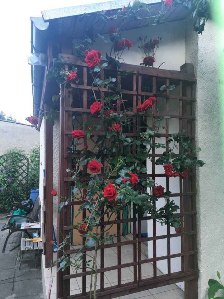 Działka rod Grudziądz. Zdjęcie 5