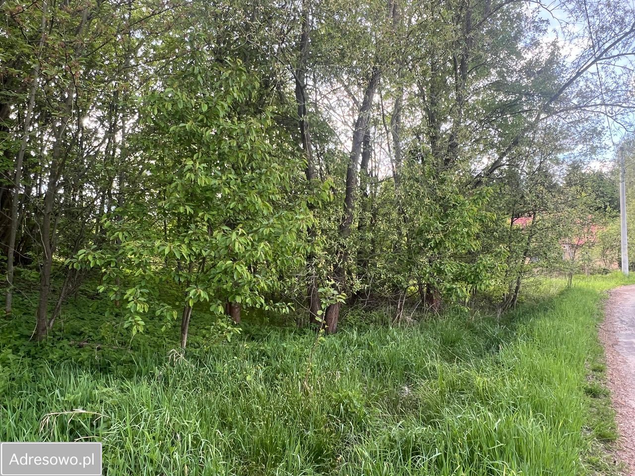 Działka rolna Spytków. Zdjęcie 2