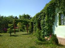 Działka rod Osiek. Zdjęcie 4