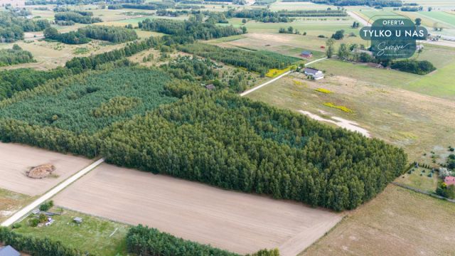 Działka budowlana Rojków. Zdjęcie 9