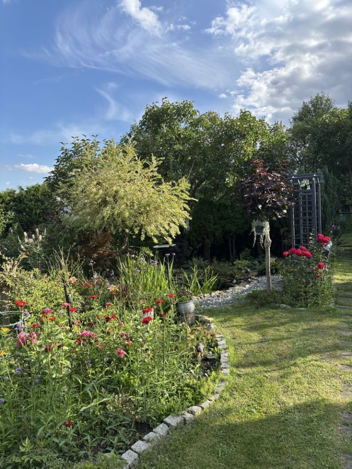 Działka rod Jastrzębie-Zdrój, ul. Wschodnia