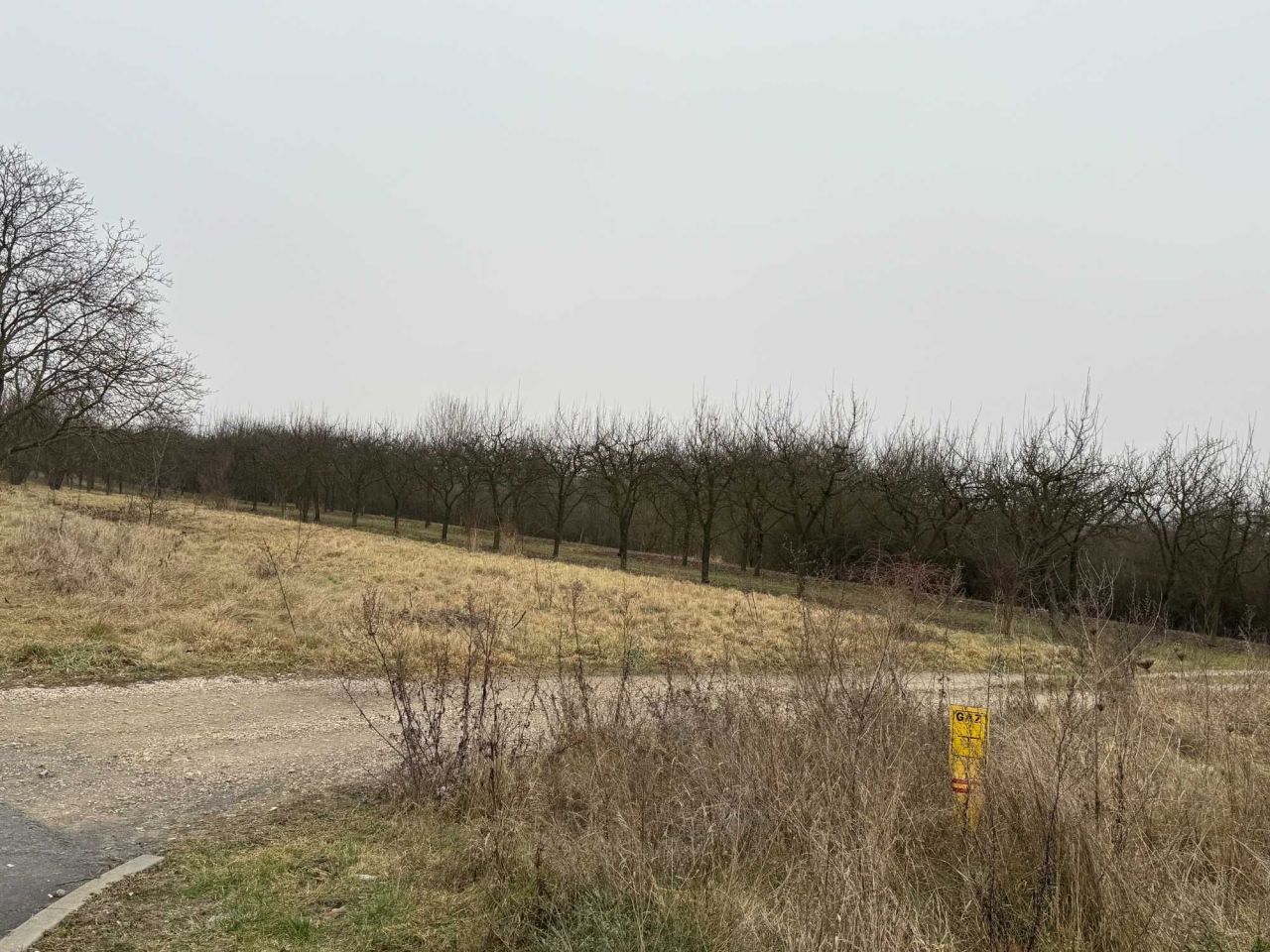 Działka rolna Busko-Zdrój. Zdjęcie 7