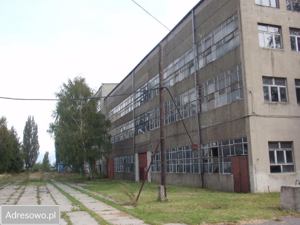 Hala/magazyn Ząbkowice Śląskie. Zdjęcie 5