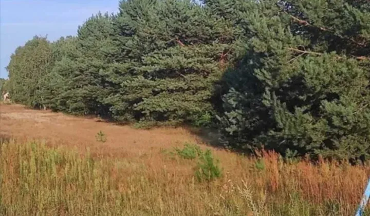 Działka rolna Nowa Grabownica