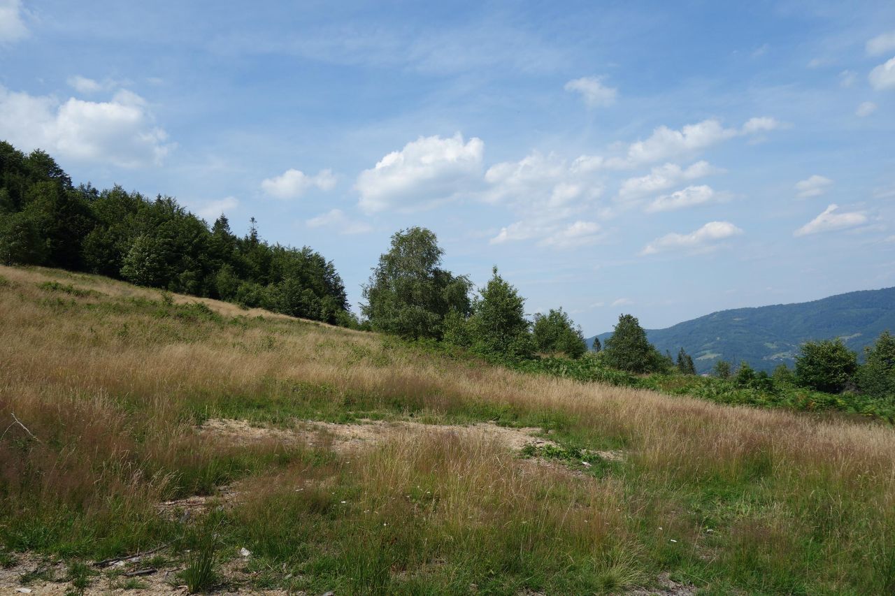 Działka inwestycyjna Brenna Leśnica, ul. Orłowa. Zdjęcie 9