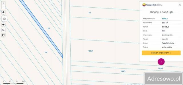 Działka rolna Lipa. Zdjęcie 1