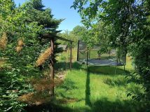 Działka rod Tarnowskie Góry Osada Jana. Zdjęcie 2