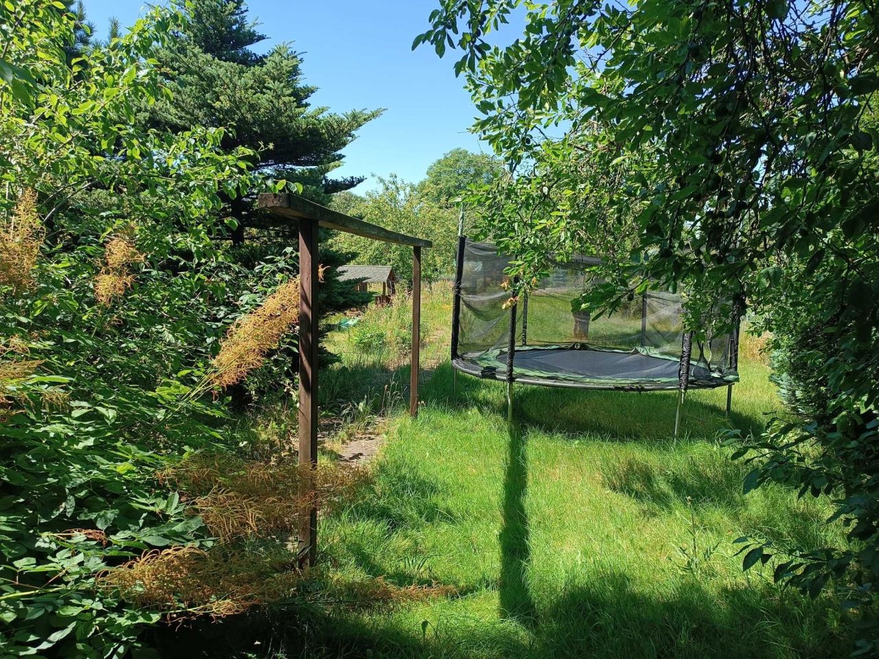 Działka rod Tarnowskie Góry Osada Jana. Zdjęcie 3