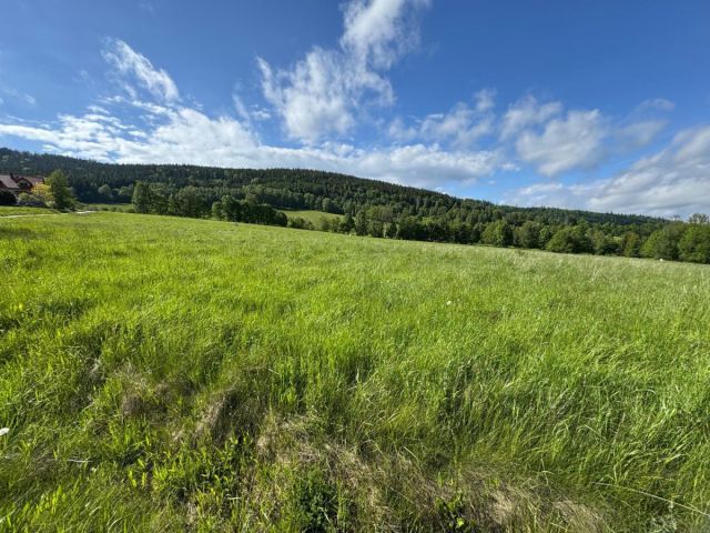 Działka budowlana Stronie Śląskie. Zdjęcie 2