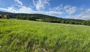 Działka budowlana Stronie Śląskie