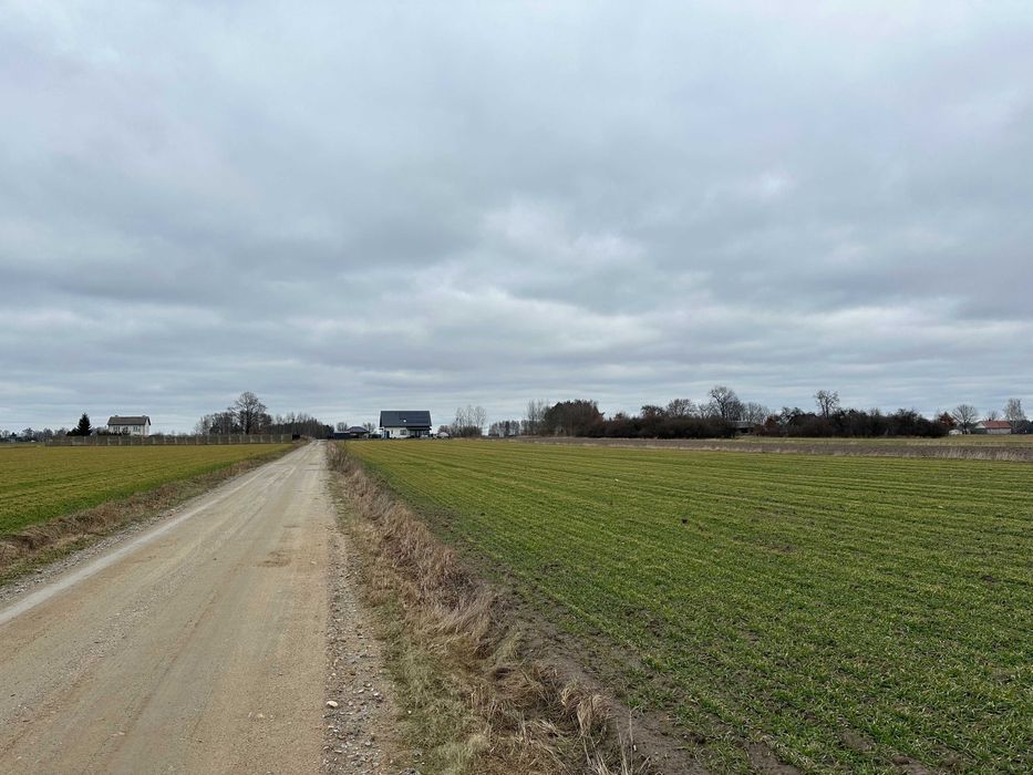 Działka rolno-budowlana Kobylany. Zdjęcie 2
