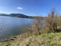 Działka leśna Rożnów Wiesiółka. Zdjęcie 1