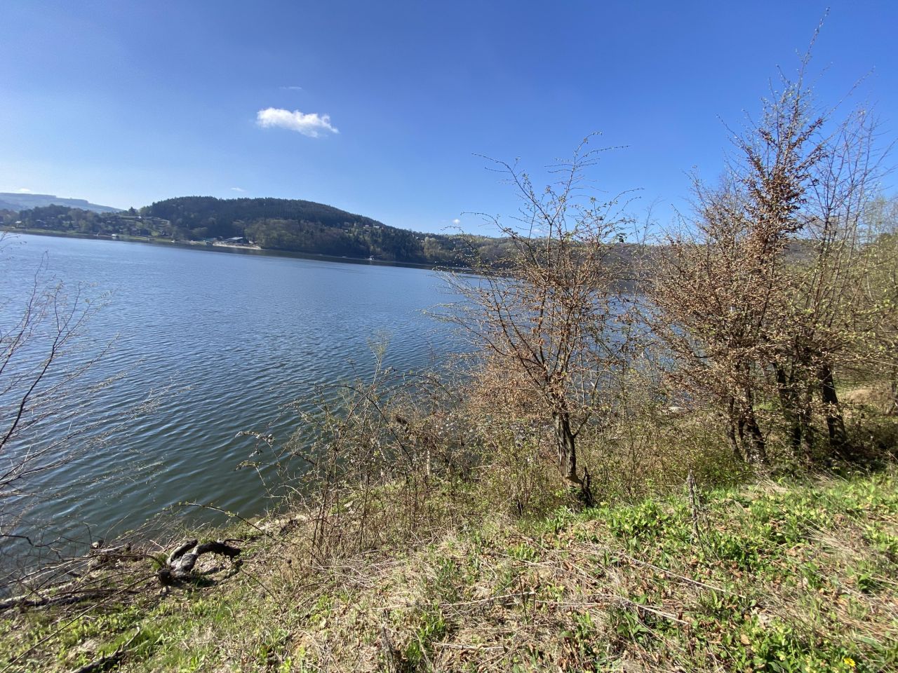 Działka leśna Rożnów Wiesiółka. Zdjęcie 2