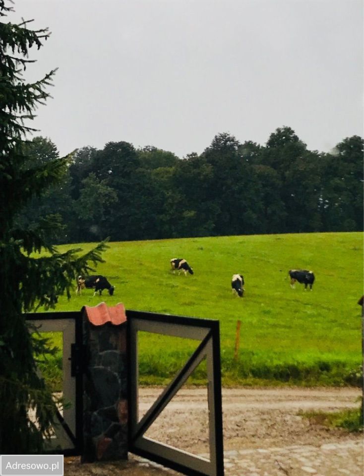 dom wolnostojący, 5 pokoi Nawiady. Zdjęcie 6