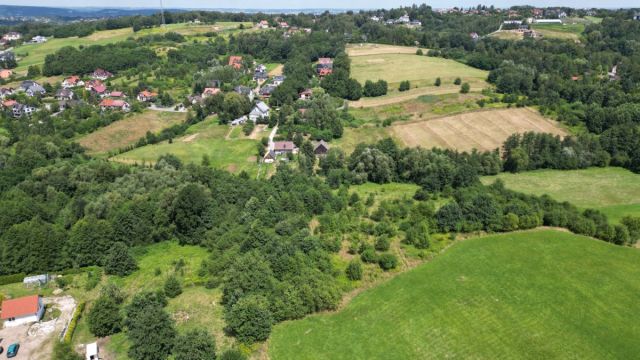 Lokal Gaj Brzyczyna, ul. Spadzista. Zdjęcie 9